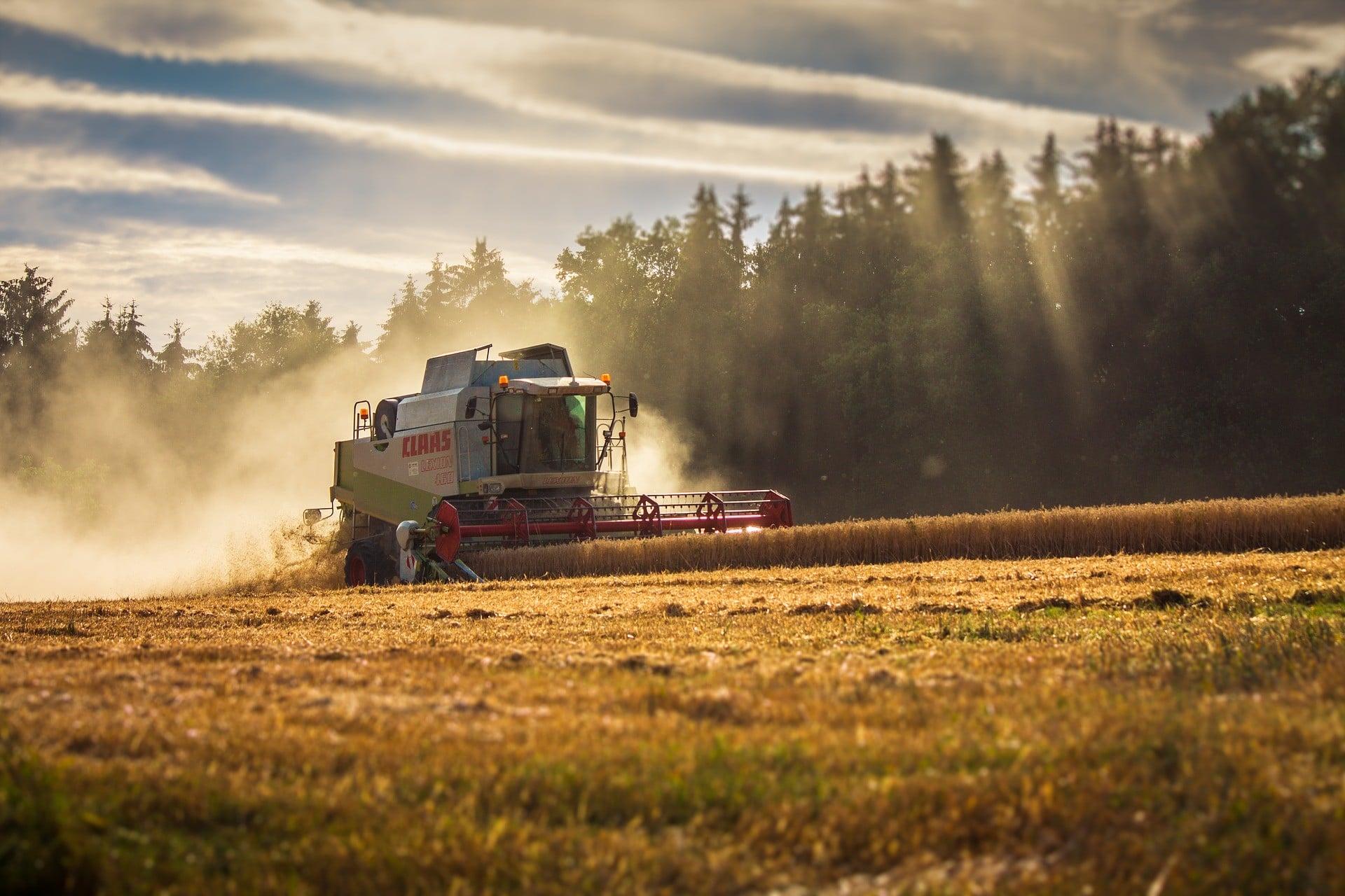 Rolnictwo W Polsce