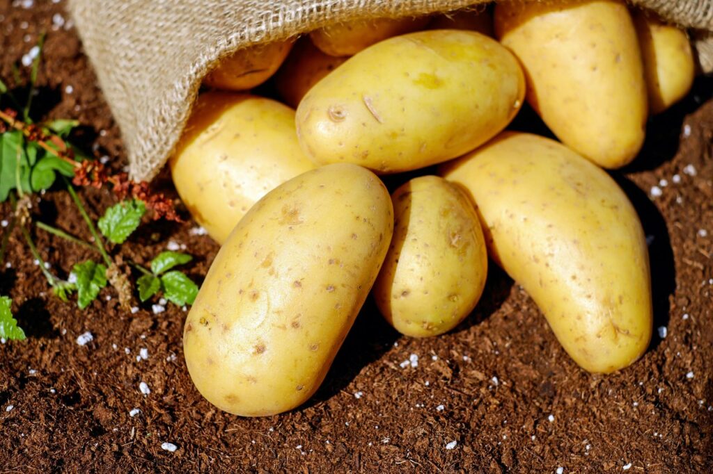 Co wpływa na cenę ziemniaków ?