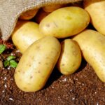 Co wpływa na cenę ziemniaków ?